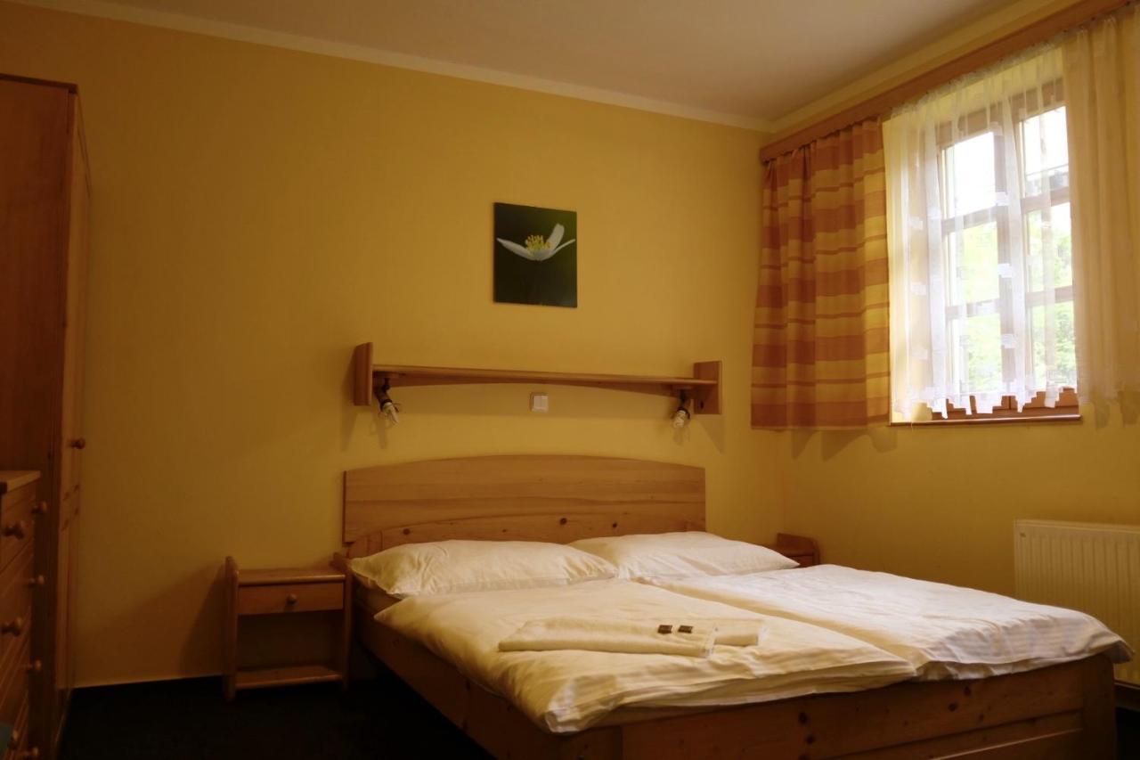 Penzion U Studeneho Potoka Nove Hute Εξωτερικό φωτογραφία